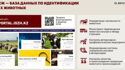Порядок ведения базы данных ИСЖ